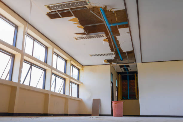 Best Flood restoration services  in Vail, CO