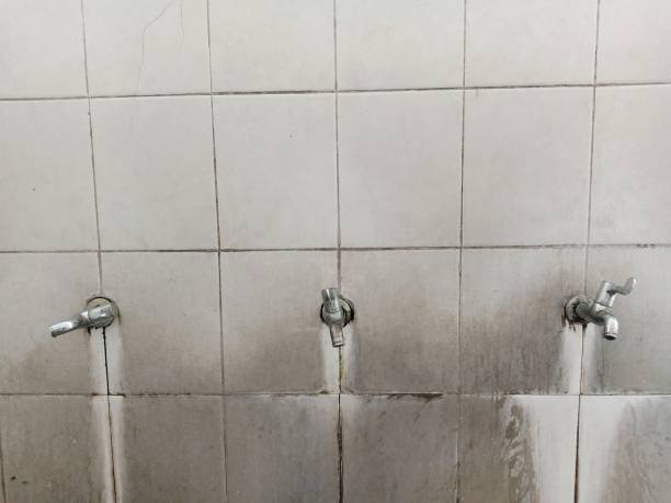 Best Residential water damage restoration  in Vail, CO