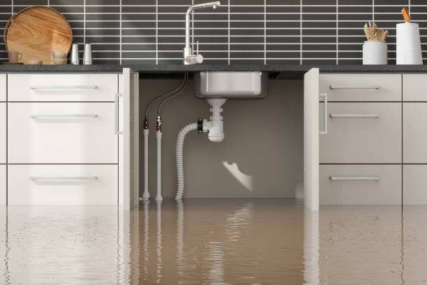 Best Basement water damage restoration  in Vail, CO