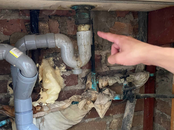 Best Ceiling water damage repair  in Vail, CO